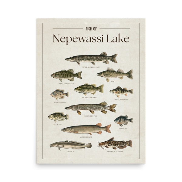 Nepewassi Lake Print