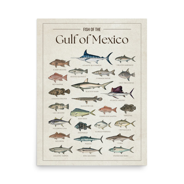 Gulf of Mexico Print