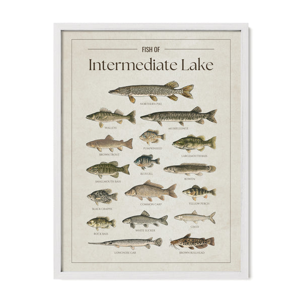 Intermediate Lake Print