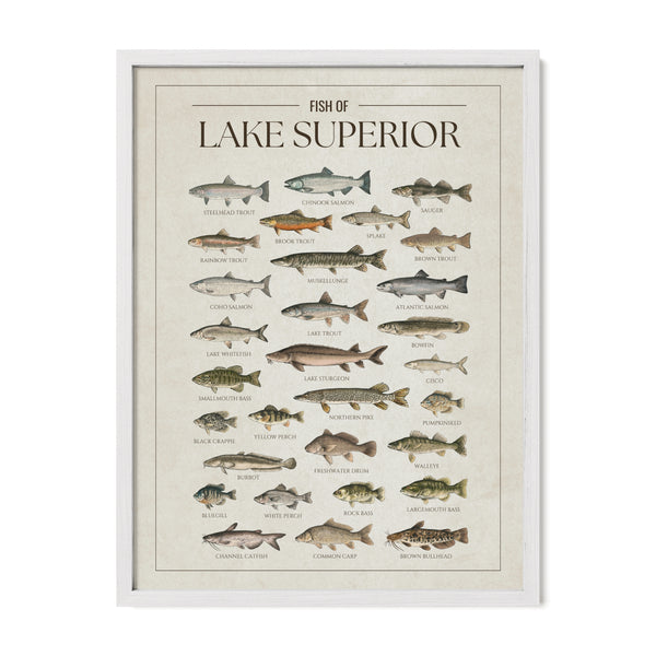 Lake Superior Print