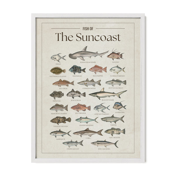 The Suncoast Print