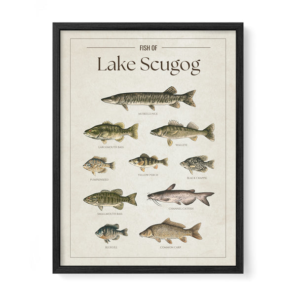 Lake Scugog Print