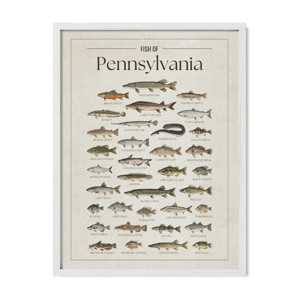 Pennsylvania Print