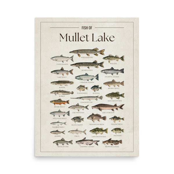 Mullet Lake Print