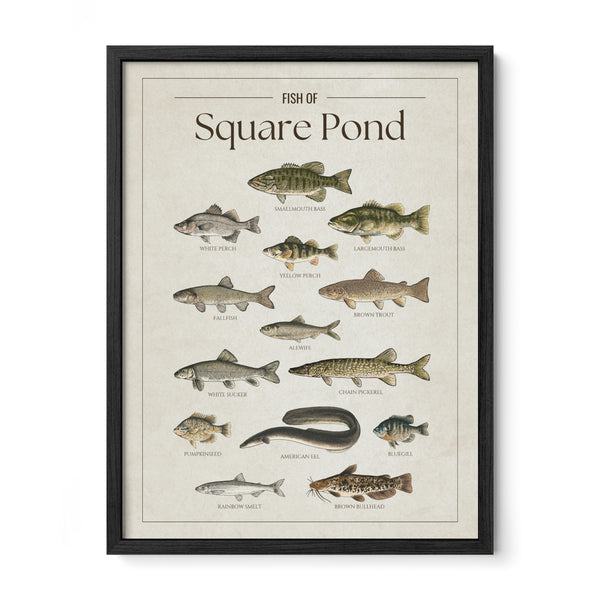 Square Pond Print