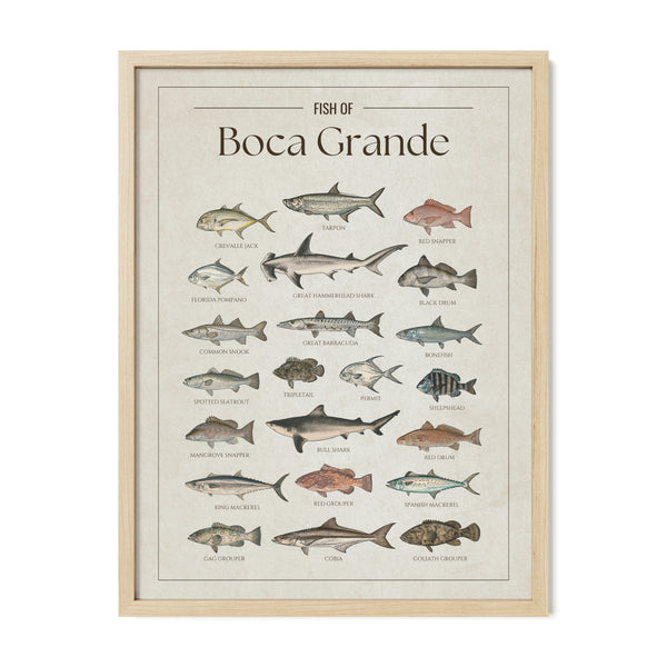 Boca Grande Print
