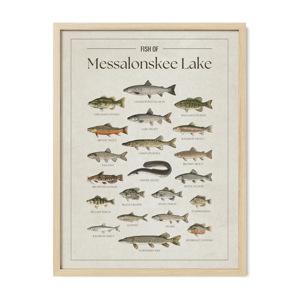 Messalonskee Lake Print
