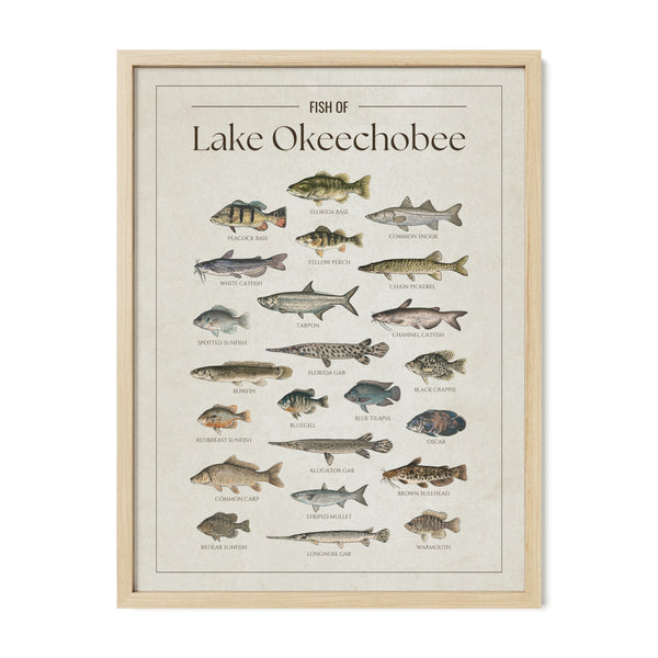 Lake Okeechobee Print