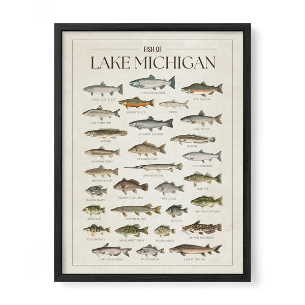 Lake Michigan Print