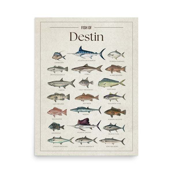Destin Print