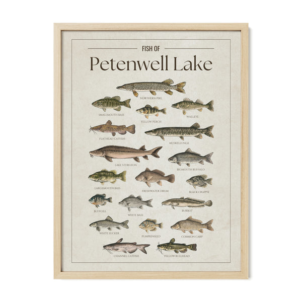 Petenwell Lake Print