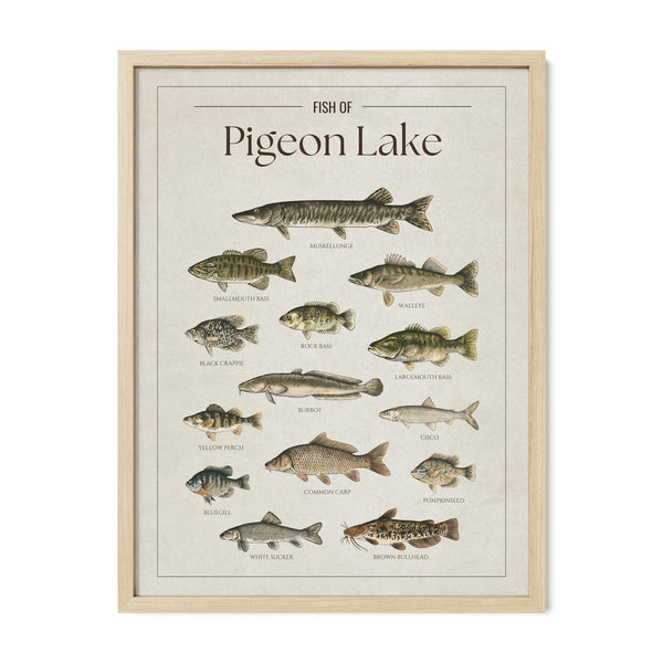 Pigeon Lake Print