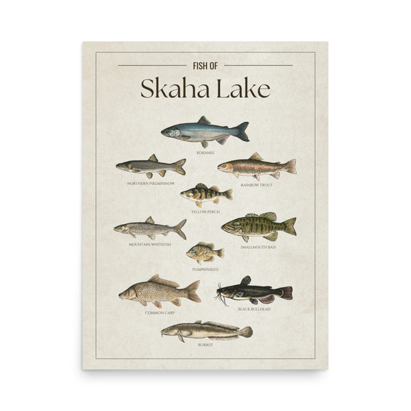 Skaha Lake Print