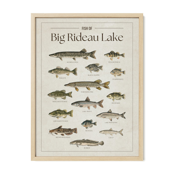 Big Rideau Lake Print