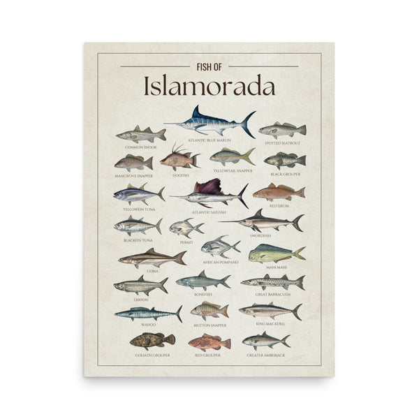 Islamorada Print