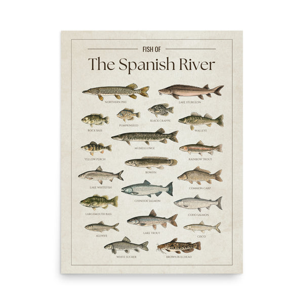 Spanish River Print