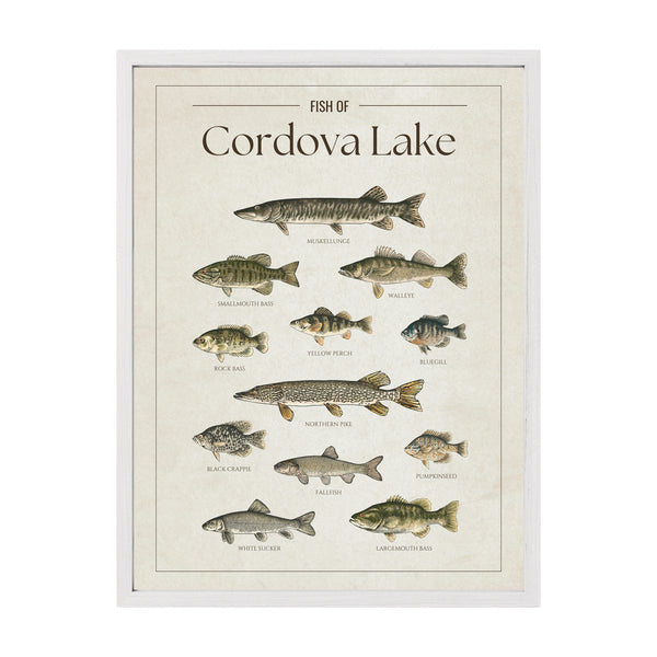 Cordova Lake Print