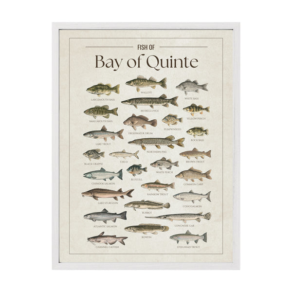 Bay of Quinte Print