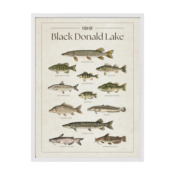 Black Donald Lake Print