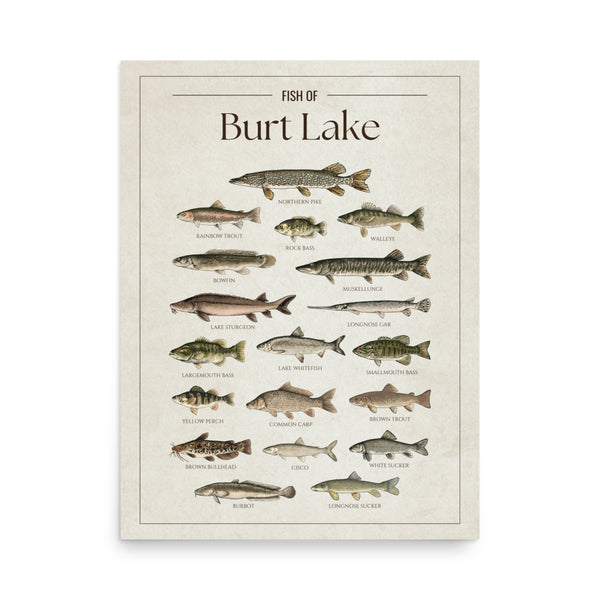 Burt Lake Print