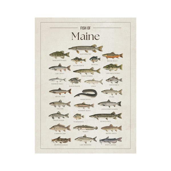 Maine Print