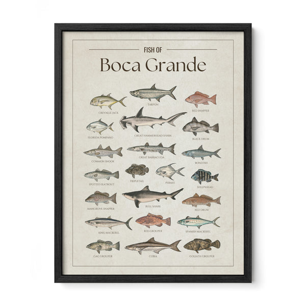 Boca Grande Print