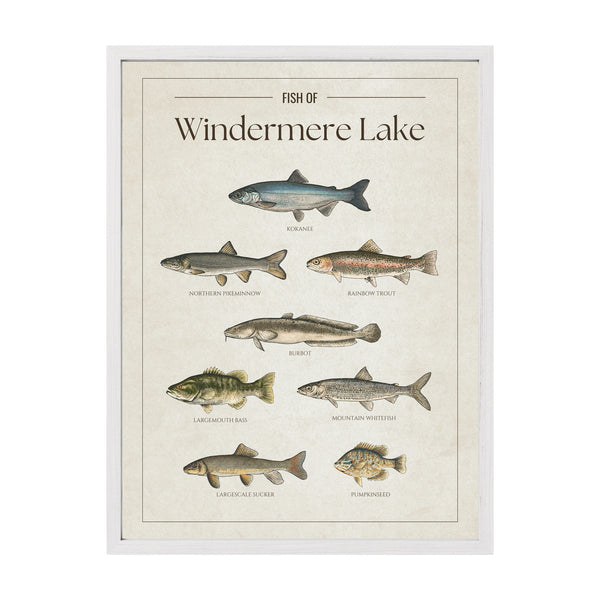 Windermere Lake Print