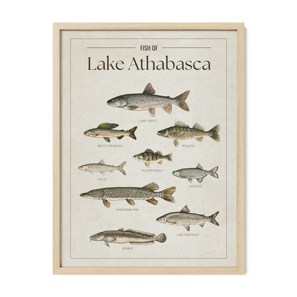 Lake Athabasca Print