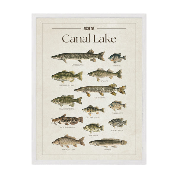 Canal Lake Print