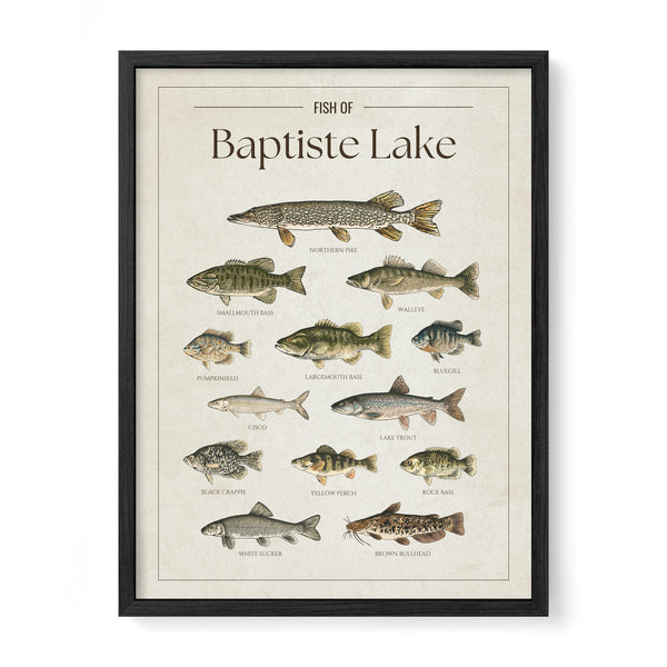 Baptiste Lake Print