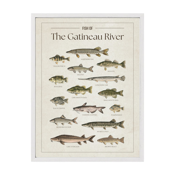 The Gatineau River Print