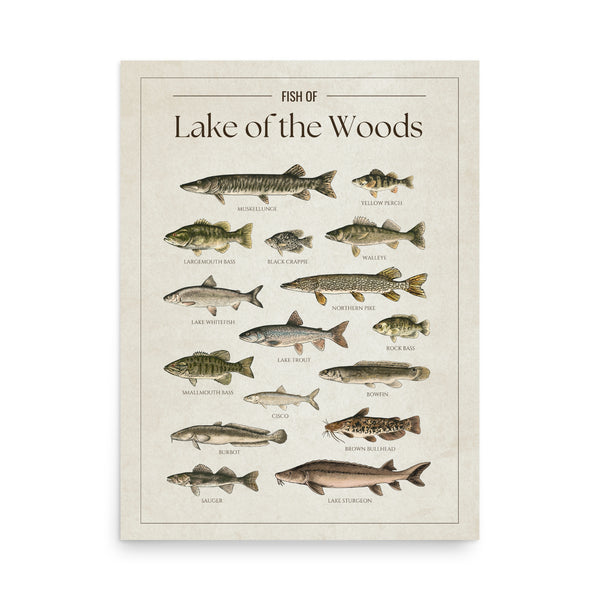 Lake of the Woods Print