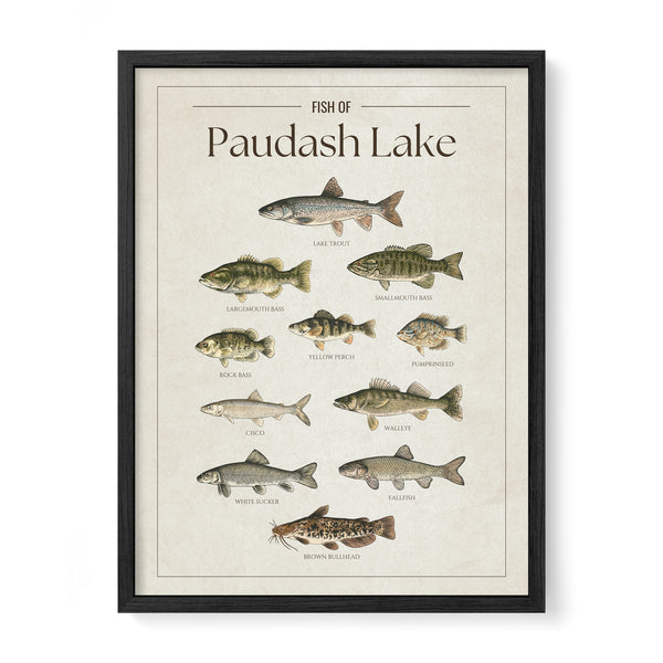 Paudash Lake Print