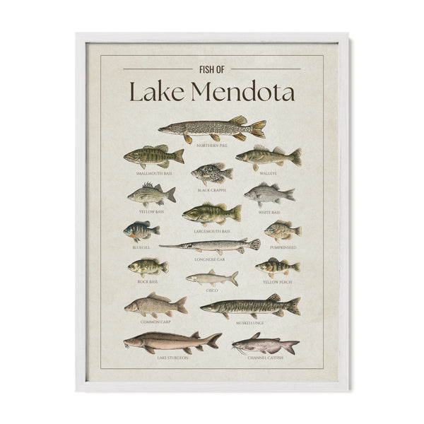 Lake Mendota Print