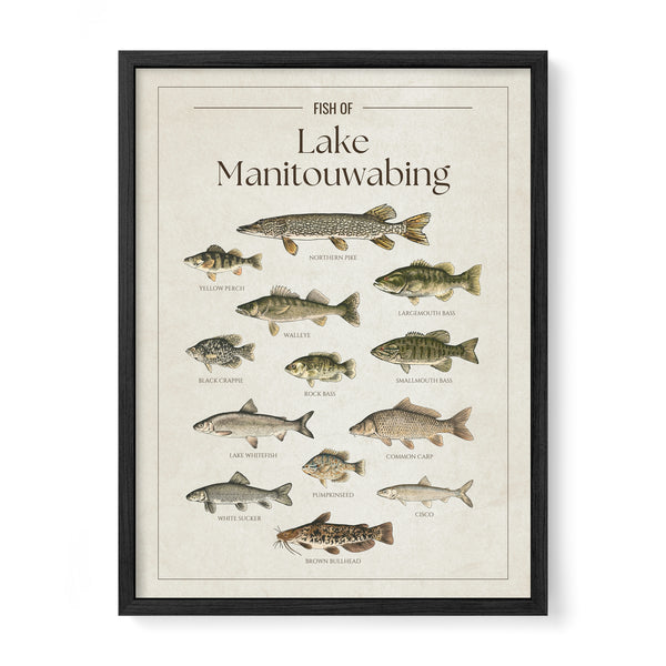 Lake Manitouwabing Print