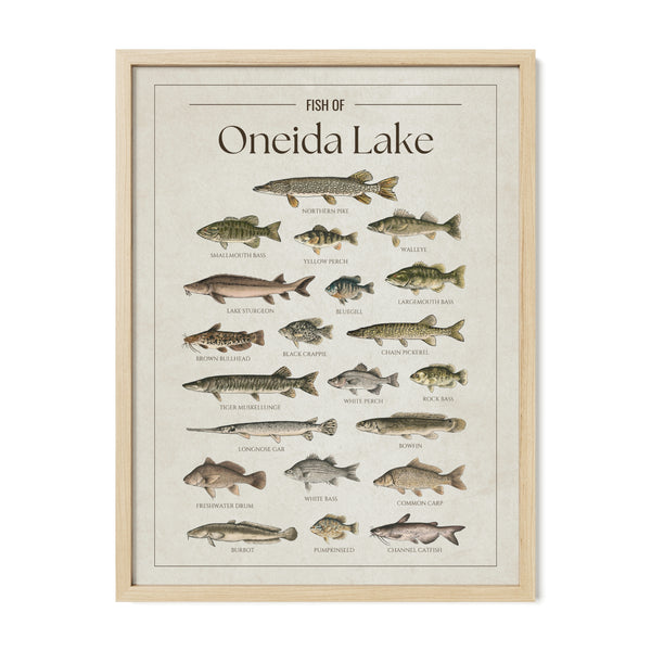 Oneida Lake Print