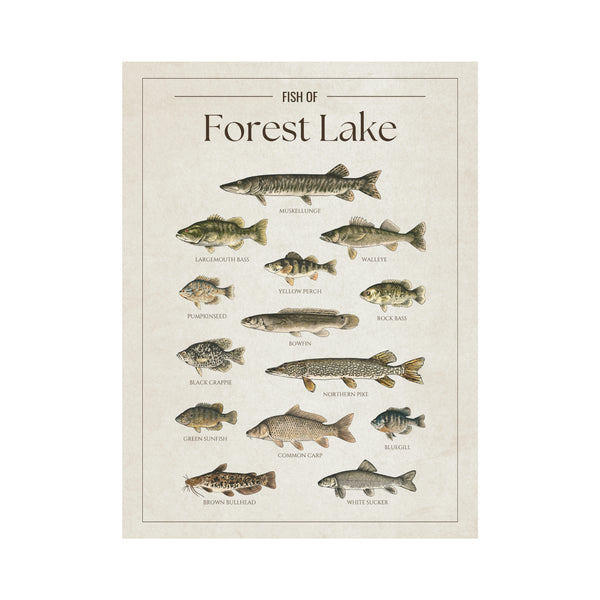 Forest Lake Print
