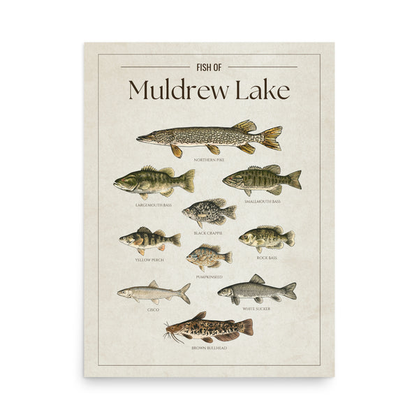 Muldrew Lake Print