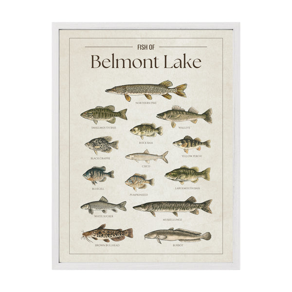 Belmont Lake Print