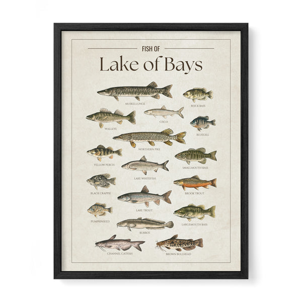 Lake of Bays Print