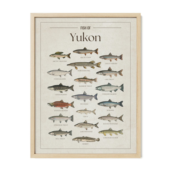 Yukon Print