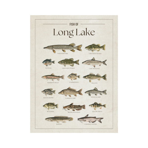 Long Lake (Alpena, Michigan) Print