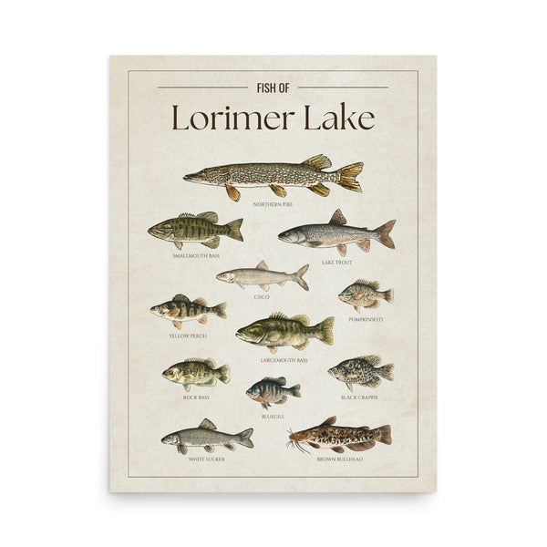 Lorimer Lake Print