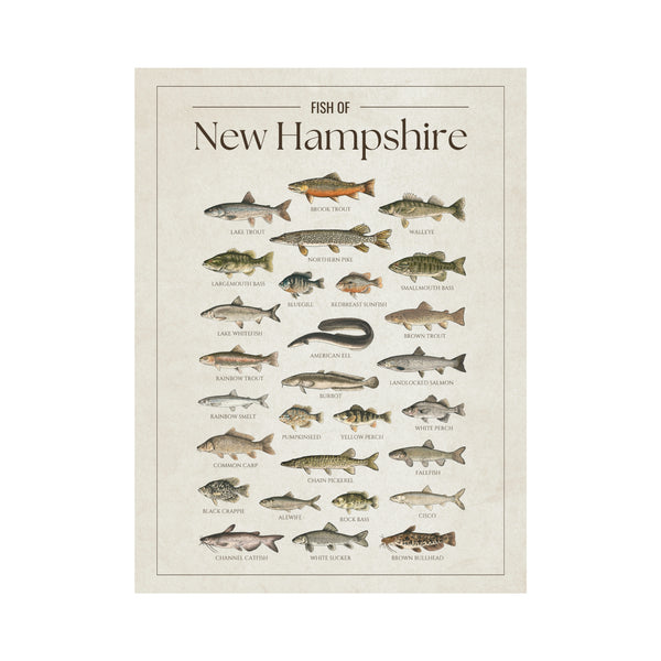 New Hampshire Print