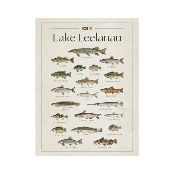 Lake Leelanau Print