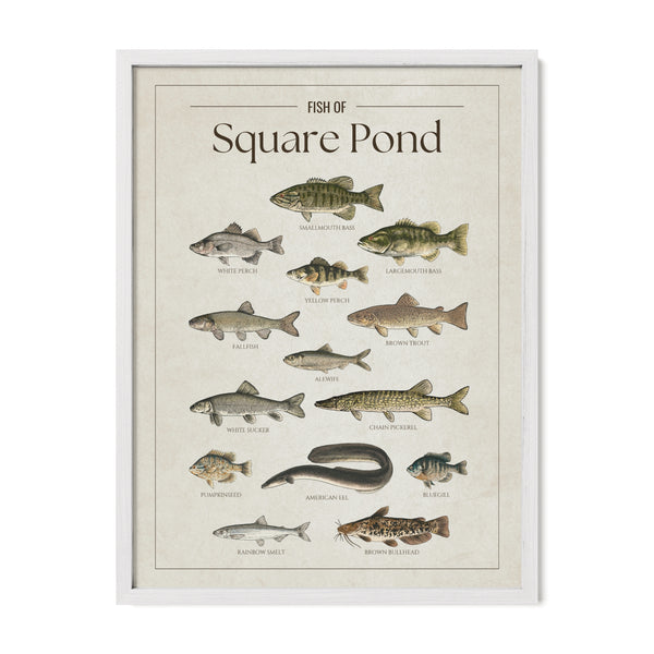 Square Pond Print