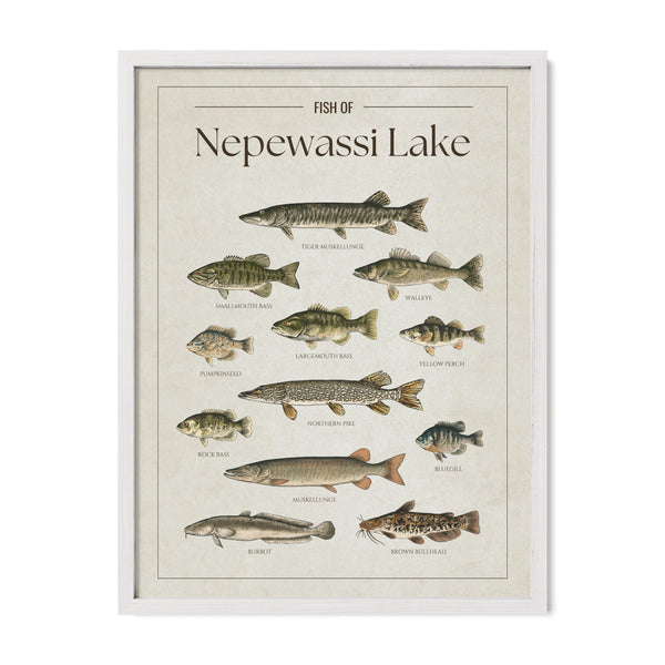 Nepewassi Lake Print
