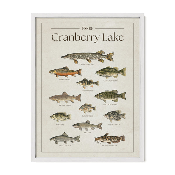 Cranberry Lake Print