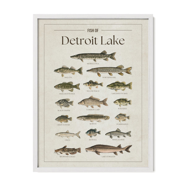 Detroit Lake Print