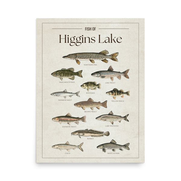 Higgins Lake Print